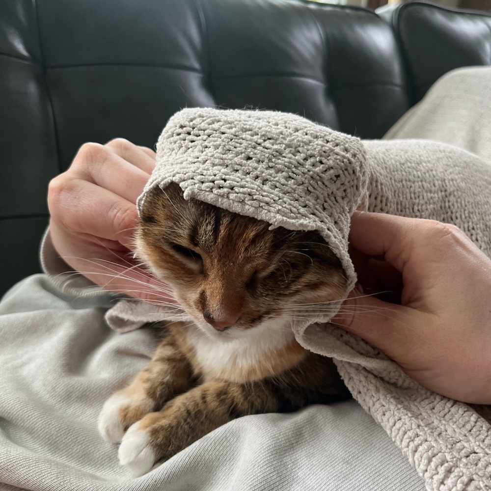 Meet your Posher, Eve